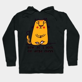 How do I look on yoga class funny yoga and cat drawing Hoodie